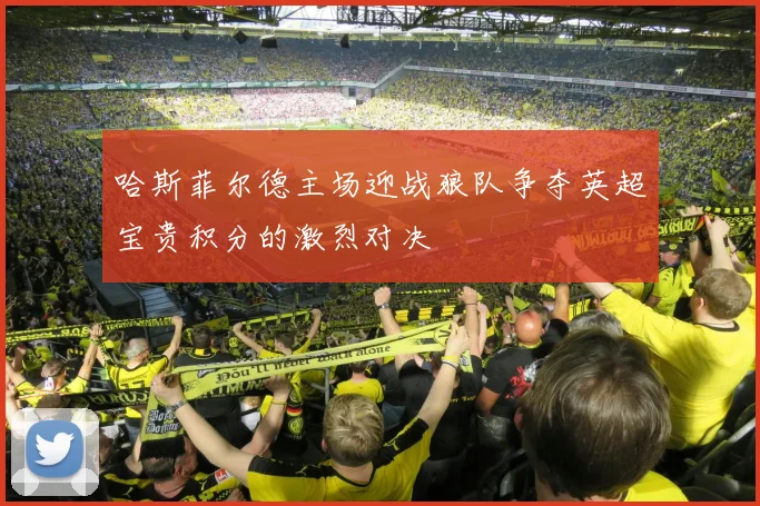 哈斯菲尔德主场迎战狼队争夺英超宝贵积分的激烈对决