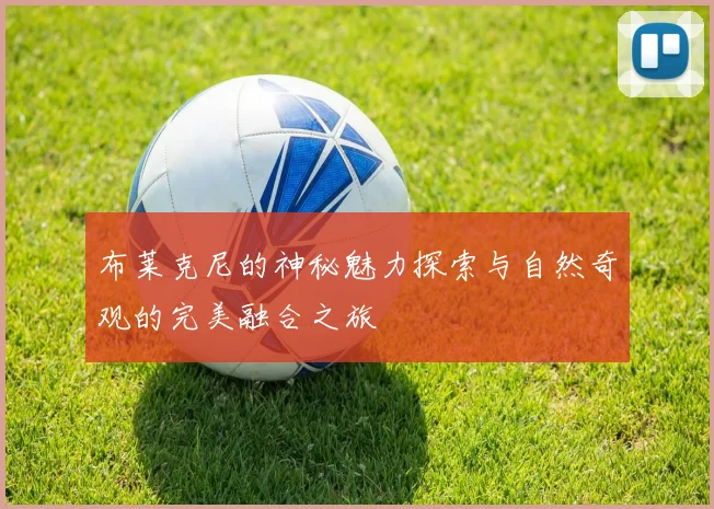布莱克尼的神秘魅力探索与自然奇观的完美融合之旅