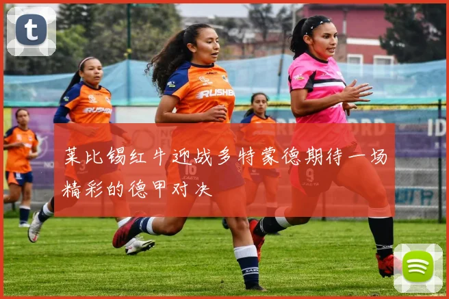 莱比锡红牛迎战多特蒙德期待一场精彩的德甲对决